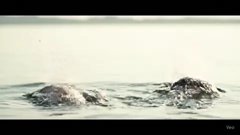 #keşfet #veo #kesfetteyiz 