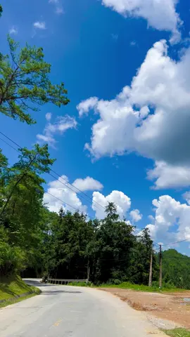Rừng thông yên minh một nơi rất chill mà nhiều bạn đến Hà Giang ít khi ghe qua  #hagiang 