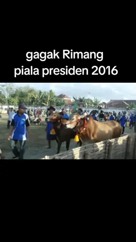 #karapansapi 