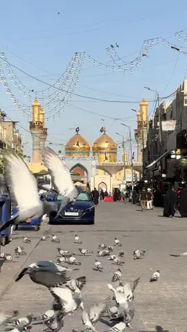 #الكاضمية_المقدسة #اطلب_حاجتك_من_الامام_وان_شالله_مقظية #الهم_صلي_على_محمد_وأل_محمد #الكاضمين_الغيظ 