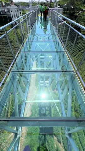 🤩🤩 #kemuningskyhills #kemuningkaranganyar #kebuntehkemuning #wisatakemuning #wisatakaranganyar #nature 