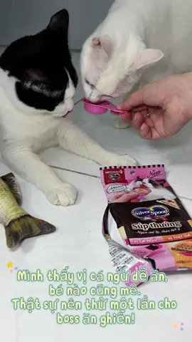 Phái phái chảy nước miếng #dauvasapo #supthuong #supthuongchomeo 