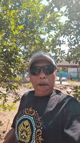 vitasma madu herbal kesehatan untuk batuk #vitasma  #herbalkeaehatan  #madukususbatuk  #madubatukmenahun 