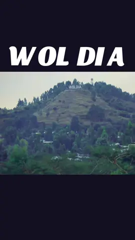 #CapCut ##የጁወልዲያ #ወልደያየ_ናፍቆቴ_🥰🥰💚💛❤ #ወሎ💚ጎጃም💛ጎንደር❤ሸዋ_አንድ_ፋኖ 