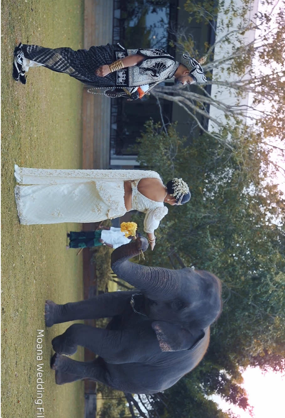 ඒ දෙන්නා මල් මිටක් අරන් Cupple එක පිලිගන්න ආවා…😍😍#elephant #Love #bride #weddingvideography #srilankan_tik_tok🇱🇰 #uae🇦🇪 #weddingvideoshoot❤️❤️❤️ #moanaweddingfilms #morningvibes #weddingvideo #weddingvideosrilanka 