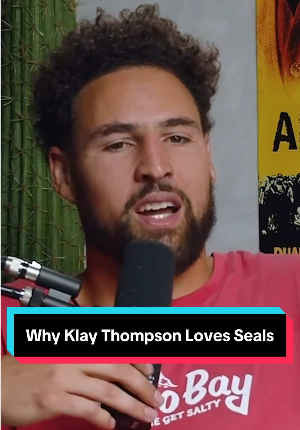 Why Klay Thompson Loves Seals #seals #marineanimals #sealsoftiktok 