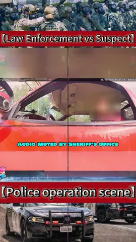 How to view the law enforcement behavior of the police#PoliceAction #tiktok #cops #bodycam #poilce #drunk #bodycamhub #arrested #cops #police #thebodycamhub #fyp #foryoupage #breakingnews #news 