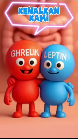 Caption: Diet bukan hanya soal menghitung kalori! Hormon seperti ghrelin dan leptin memainkan peran besar dalam mengatur rasa lapar dan kenyang kita. Yuk, pelajari bagaimana kedua hormon ini memengaruhi keputusan makanmu dan buat pilihan diet yang lebih sehat dan berkelanjutan! 🌱💪 #HormonLapar #DietSehat #GhrelinLeptin #KeseimbanganHormon #MakanSehat #PolaMakan #MenurunkanBeratBadan  