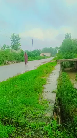 #followme 