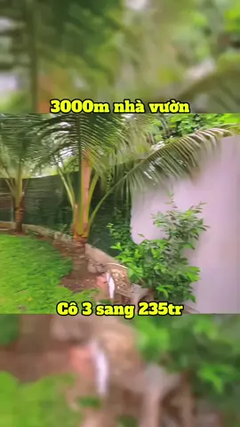 Liên dép lào : 0902//749///333 Nhà vườn 3.000m2 sang nhanh 235 tr.iệ.u.Nhanh mới mua kịp nhé cô chú, anh,chị #datngop #viral #datvuon #datthocu #datsaogiare              .
