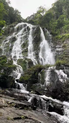 น้ำตกสายรุ้งละอองดาว หนึ่งในน้ำตกที่สวยที่สุดของภาคใต้ #น้ําตกสายรุ้งละอองดาว #น้ำตก  #ป่าใต้  #เดินป่า  #นนท์ชอบเที่ยว  #เด็กคอนนอนป่า  #forres #รองนอง #ธรรมชาติบําบัด #เที่ยวคนเดียว #เขตรักษาพันธ์สัตว์ป่าคลองนาคา 