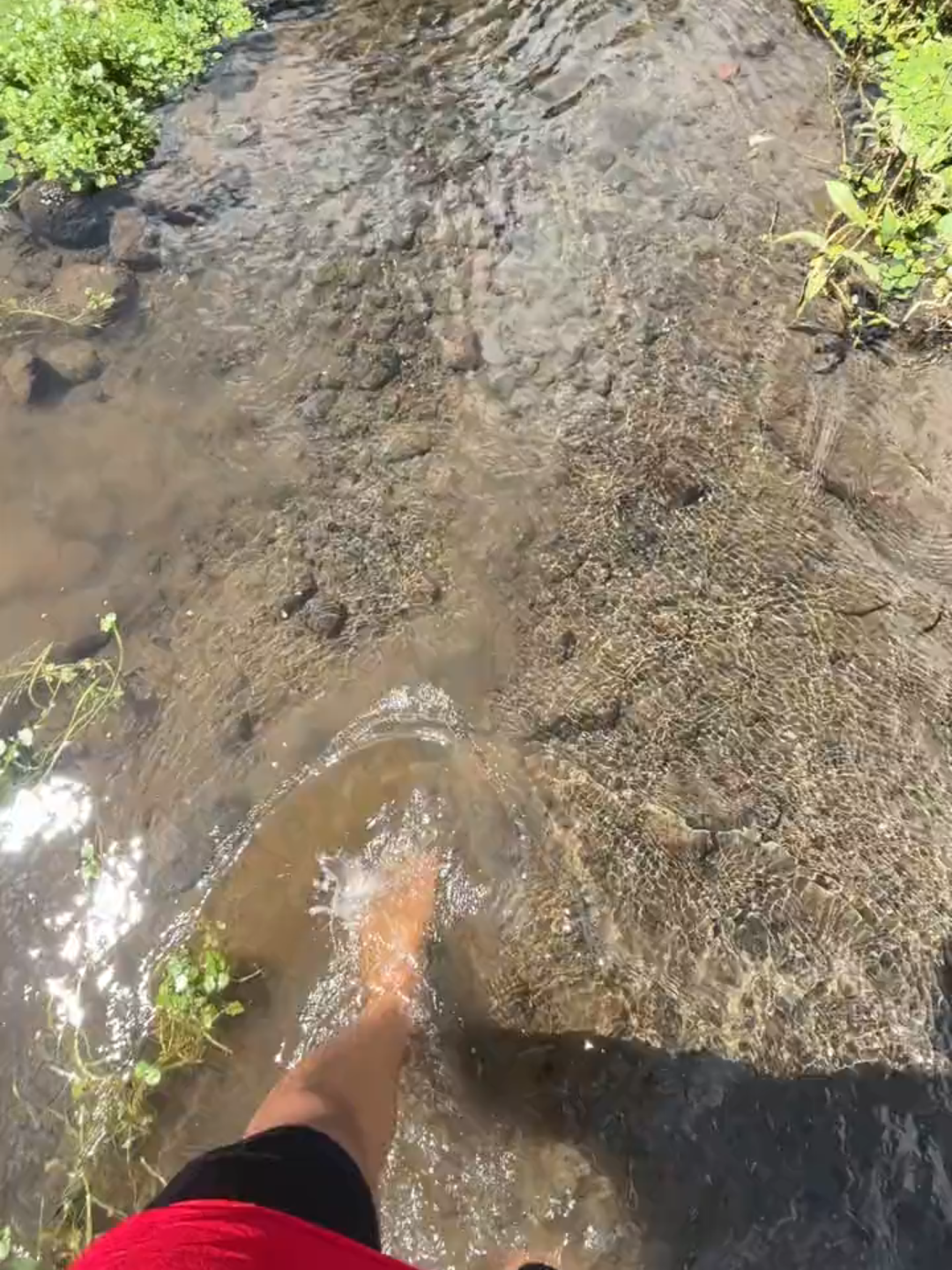 Kalo kesini tu banyak bocil😂 tapi seru sih #cipari #berenang #fyp #sibolang  #petualangan #camp #kuningan