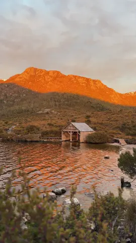 Catching sunrise in Cradle Mountain is one of those pinch me moments ☀️ Early mornings are well rewarded in Tassie’s Cradle Mountain-Lake St Clair National Park, when the light hits Dove Lake and its surrounding craggy peaks just right. Trek along the cruisy, 6 kilometre Dove Lake Circuit Walk to catch scenes like these, and maybe even spot some wildlife along the way 🥾 🎥: @vanessa_desilva  📍 : Cradle Mountain-Lake St Clair National Park, North West Tasmania, lutruwita (@Discover Tasmania) #SeeAustralia #ComeAndSayGday #DiscoverTasmania #NorthWestTasmania ID: A series of scenes show a calm alpine lake during sunrise surrounded by rocky peaks.