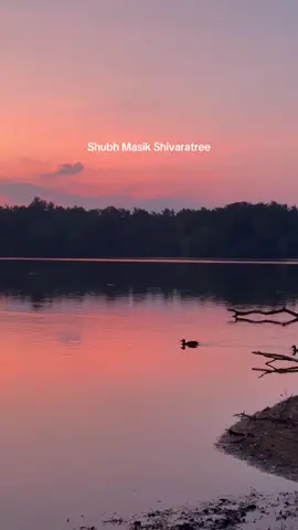 #mauritius🇲🇺 #fyp #mauritiustiktok #masikshivratri #shiva #shiv #foryou #mauritius #mru🇲🇺 #mru #shravanmass #mauritius🇲🇺 #mru🇲🇺 #fyp 