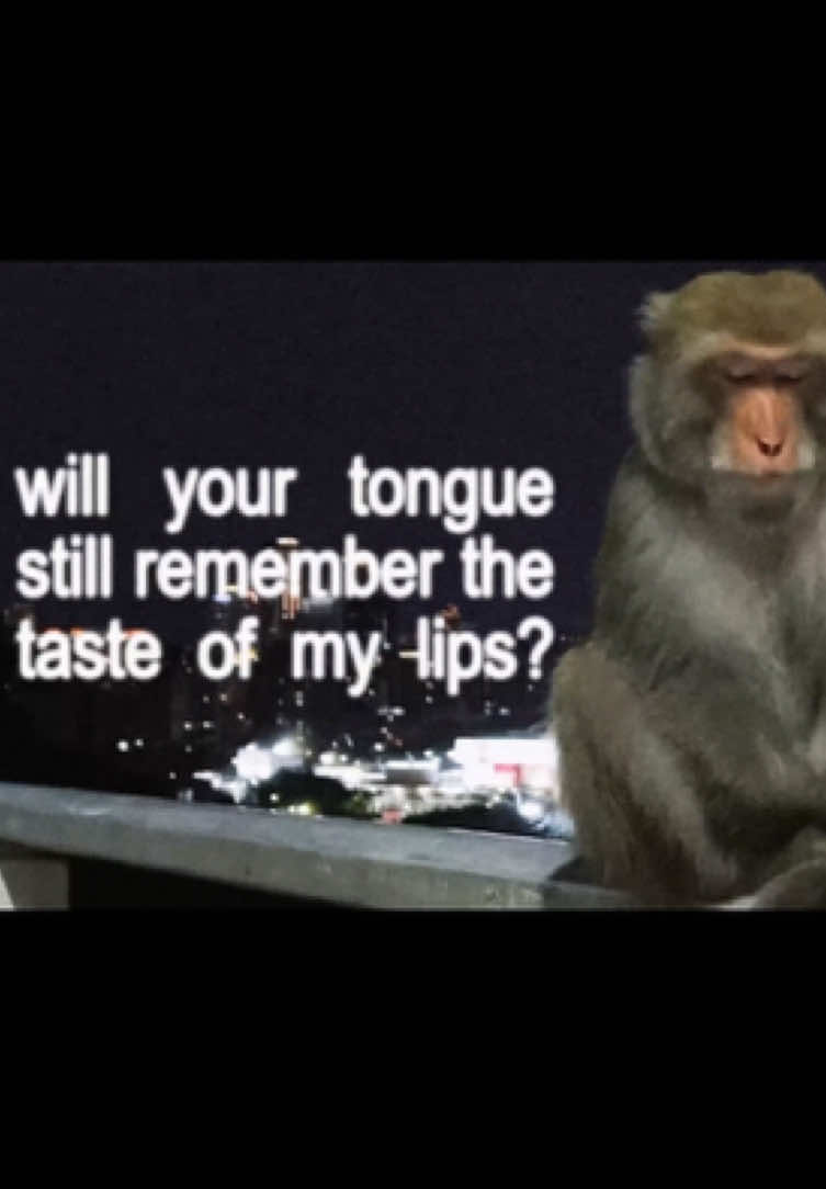 will he #joji #song #lyrics #edit #monkey #fyp 
