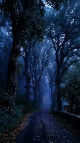 Di bawah langit yang tak terbatas  aku menemukan keberanian untuk terbang  menjadi diriku sendiri ,bebas dan berani merangkai mimpi -mimpi di tengah gemuruh kehidupan. aku, seperti angin yang berdansa  mengisi ruang tak terlihat dengan kehadiran  di setiap hembusan,ada petunjuk baru seperti aroma bunga yang mengusik ingatanku. di bawah langit yang terbentang luas  aku menemukan kekuatan untuk mengarungi hidup  menjadi diriku sendiri, tulus dan mengalir  menggapai impian di tengah riuhnya realitas. #fyp #askara #diksi #puisikata #fyp 