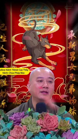 Có phải con tuổi Tuất #tuoituat #tuvi #mayman #tuviphongthuy #thaythichphaphoa #vongtaytramhuong #vongtaytramhuong108hat #vongtayphongthuy 