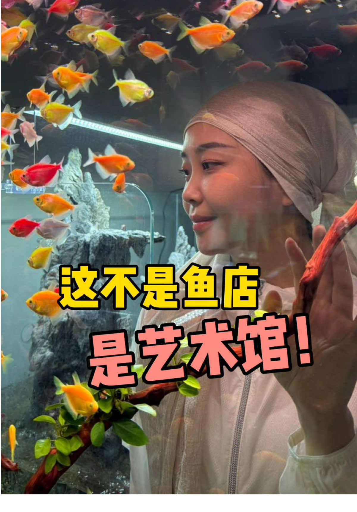 🇲🇾这不是鱼店，是艺术馆！#马来西亚日常 #吉隆坡探店 #热带鱼 #水族造景 #马来西亚美食误解 #马来西亚冷知识 #便宜又好看  