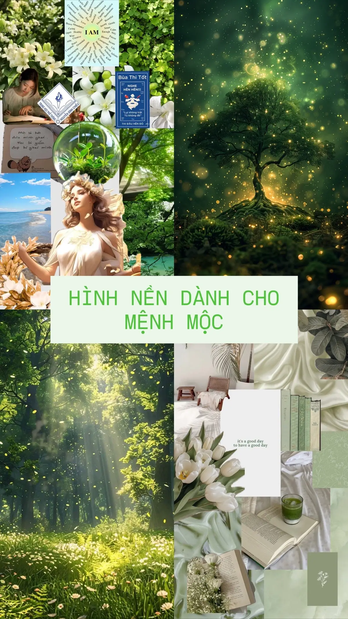 Người Mộc hãy lưu ngay lại và để màn hình nền vận may sẽ đến, tài lộc dồi dào, quý nhân phù trợ thuận lợi thành công 🍀🍀🍀 #xuhuong2025 #hinhnen #menhmoc #viral #tailoc 