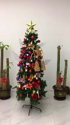 Beautiful 6ft artificial slim Christmas tree,the  best  gift for Christmas 🎄🎄🎄#christmastree #christmasdecor #christmasflowers #merrychristmas #christmasgift #foryou #fyp #fypシ゚ #fyppppppppppppppppppppppp #sephoraalışverişim 