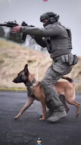 K9 #retirement #thankyouforyourservice #policedog #heartwarming #dogoftheday #heroes #emotional...