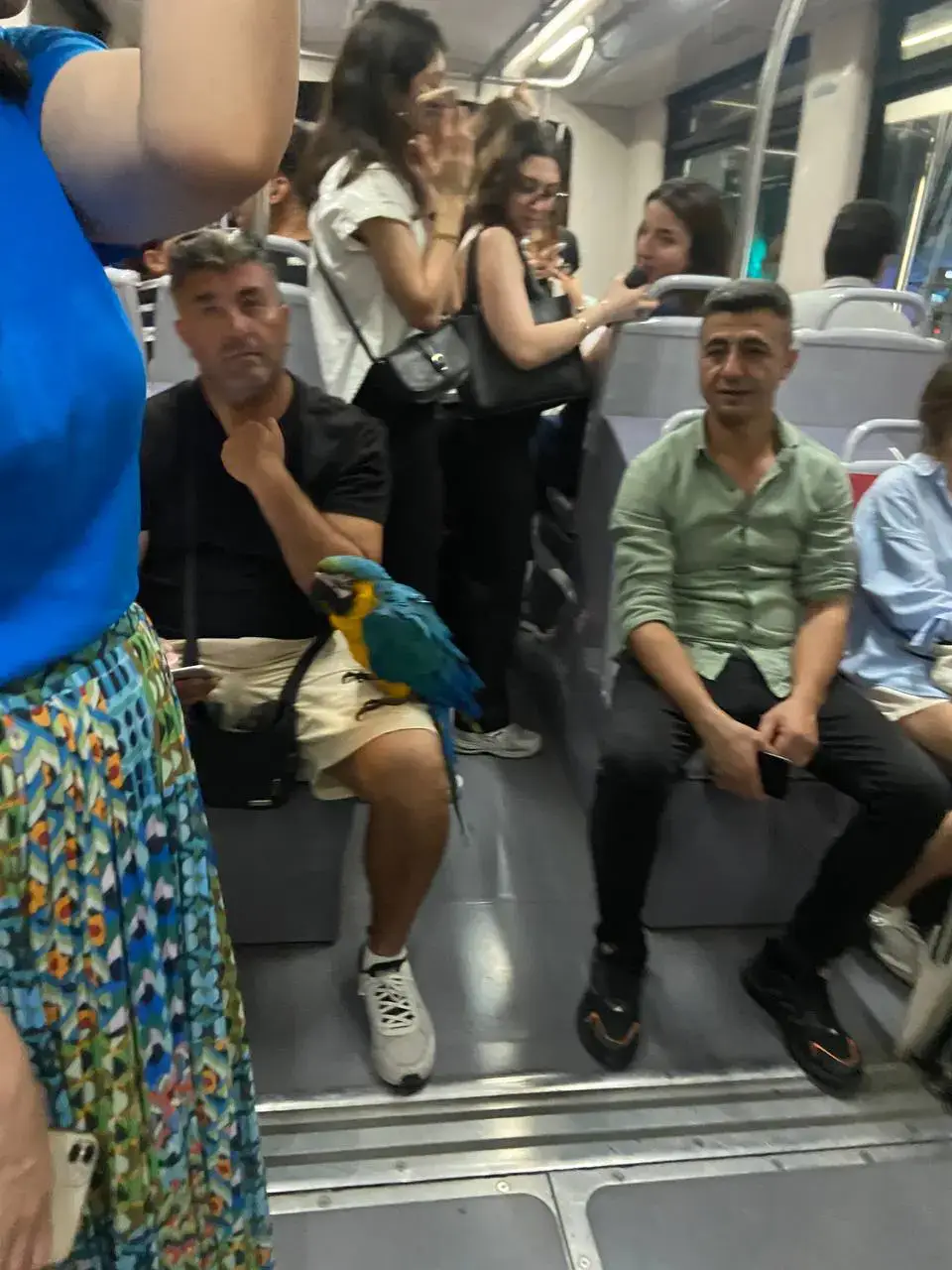 #фотоспопугаем #женядаймонд 