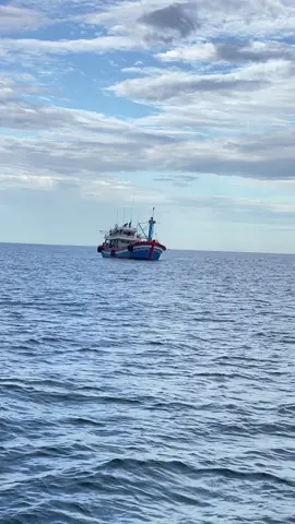 Chuyến biển ra khơi may mắn bể tỷ nhé đội nhà 🍀💵💵#mythang #danbien77 #taucabinhdinh #77binhdinh #xuhuong #luoirutbinhdinh #nhobacau 