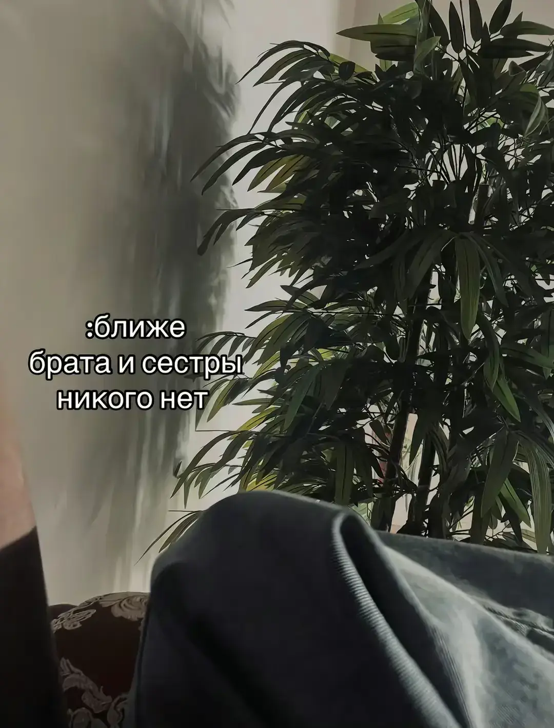 #любимая сестра#