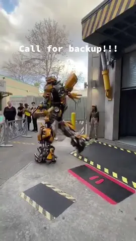 Lively Bumblebee #universalstudioshollywood #funny #bumblebee #universalstu #fypシ #fyp #foryou 