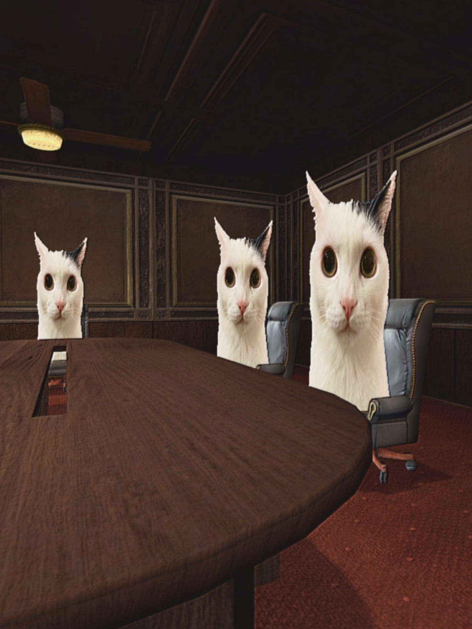 Cat meeting 🐱🐱🐱 #まつもとたける #jermbo #fyp #gmod #猫ミーム #catmeme #avicii #mondayleftmebroken