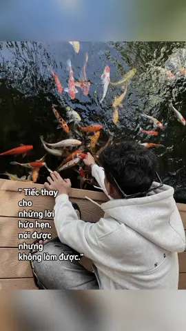 Tiếc Thay cho Những Lời #xuhuong #xuhuongtiktok 