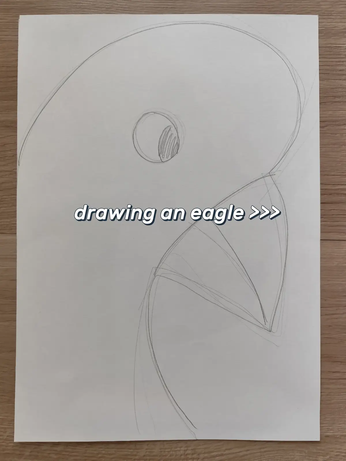 #drawings #art #eagle #finalresult #sketch #drawingart 