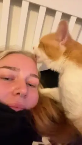 No matter what the cat does,it’s a sign of love for you🥰🐾#cat #cats #catlover #kitten #catsoftiktok #fyp 