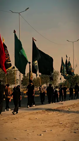 #هيئه_ام_ابيها_عليه_سلام #بصره_قرنه_بني_منصور #مشايه_الفاو_راس_البيشه🏴 #الحسين_مصباح_الهدى_وسفينه_النجاة 