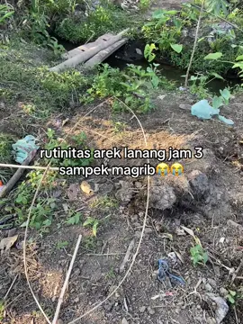 jam jam kui mesti wes nyekeli preng😭🤣#layangan #layangan2025 #comeback 