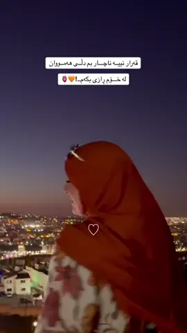 #الحمدلله_دائماً_وابداً #allah❤️ #cat 