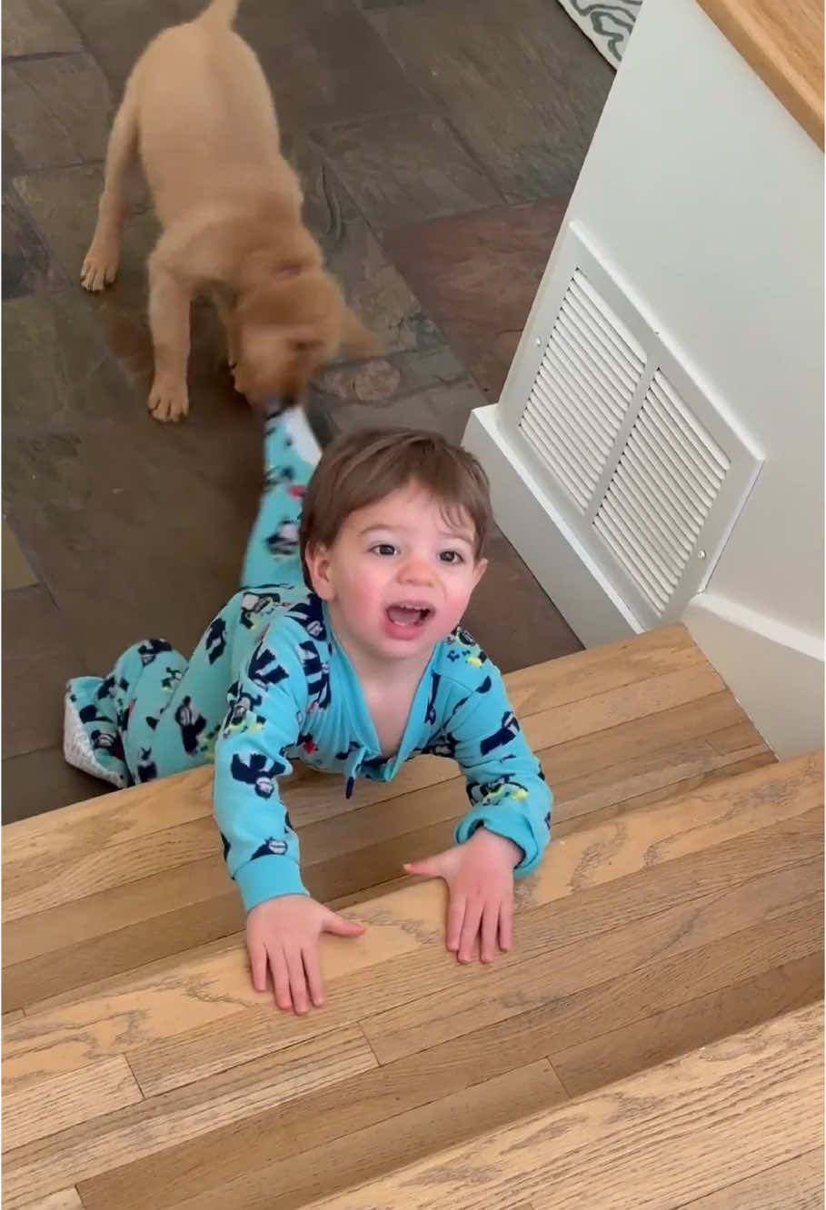 The fight between dogs and children!🥹#fyp#foryou#funnydogs#cutedog#funnytiktok#puppy#pet