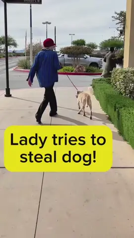 #tiktok #viral 