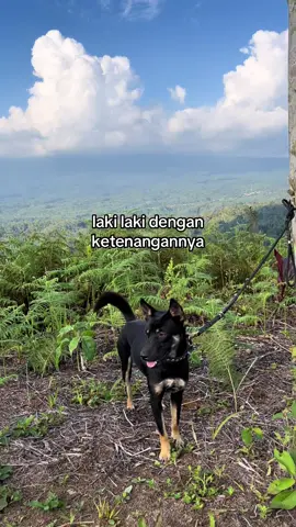 #porbisumbar#porbimarenten#porbi50kota#porbibengkulu#fyp