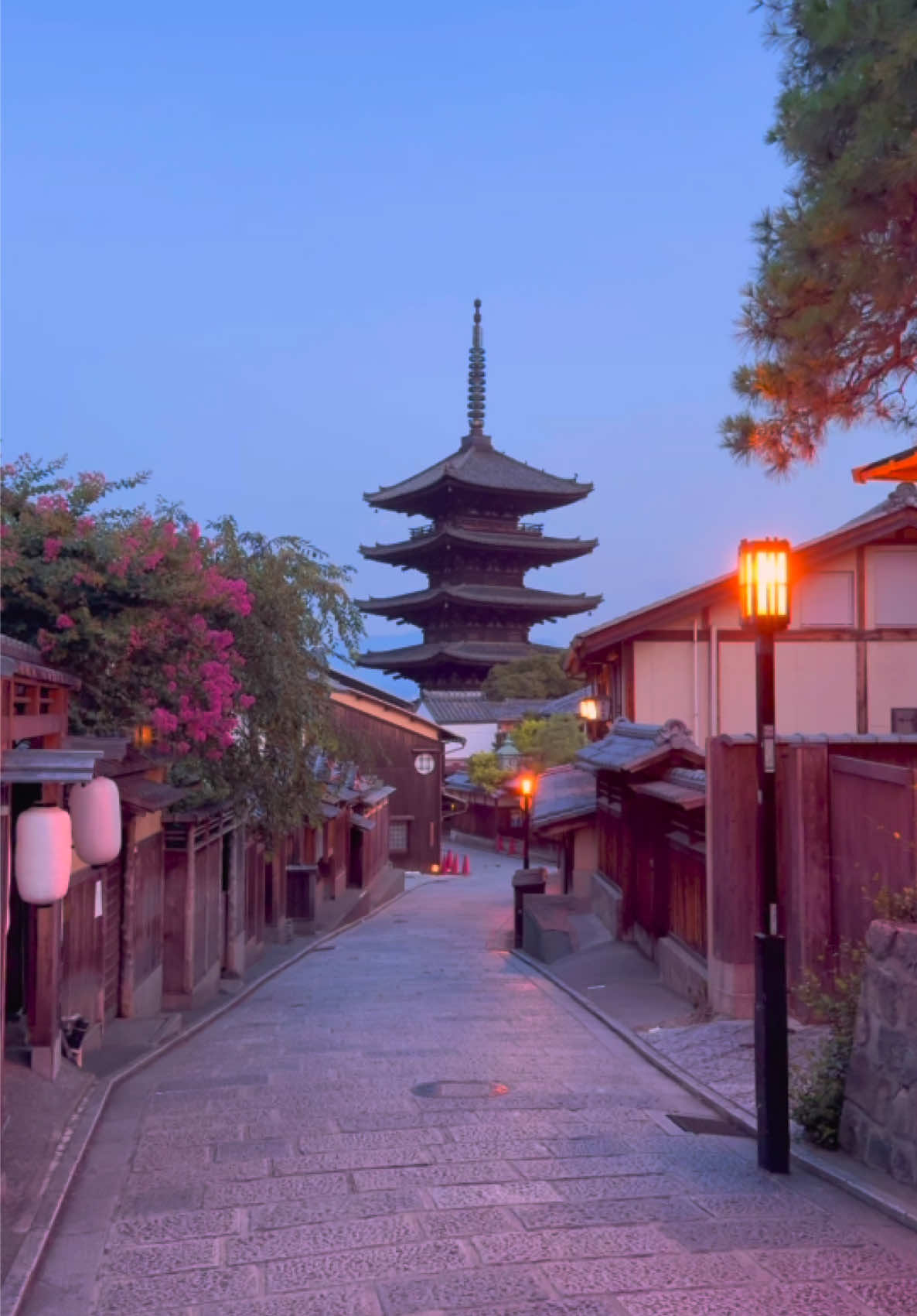 誰もいないこの時間帯の京都が好き🥰 【Location】 📍Yasaka Street(八坂通) 📍Ninenzaka(二年坂) 八坂通りではもうすぐサルスベリと八坂の塔のコラボレーションが見られます🌸 八坂の塔とのコラボは桜で有名ですが、夏には濃いピンクのサルスベリと一緒に見られてとても綺麗です！ 個人的には桜よりもピンク色が濃いサルスベリと八坂の塔のコラボが好きです🥰 Soon you will be able to see the collaboration between crape myrtle and Yasaka Pagoda on Yasaka Street🌸 The collaboration with Yasaka Pagoda is famous for the cherry blossoms, but in summer you can see them together with the deep pink crape myrtle, which is very beautiful! Personally, I like the combination of crape myrtle and Yasaka Pagoda more than cherry blossoms🥰
