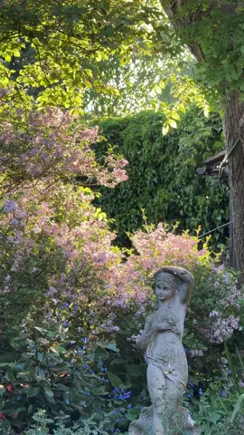 British summers > #calmingsounds #summervibe #garden #aestheticvideos #fyp #summertime #sunsets 