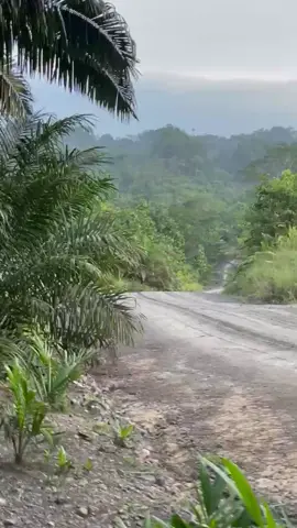 Original sound 3836#genglorrybalak#lorrydriver#kayubalaksarawak #fypviralシviral#mercedes_benz_3836#solomonislandstiktok🇸🇧#solomonislandstiktok🇸🇧 
