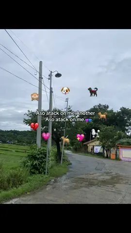 Aggay #rabies #dogmeme #for #fypdong #tiktokindia #fypシ゚ #makeitvideoviral #makeitviral #tiktokfyp #tiktokmemes #ctto 