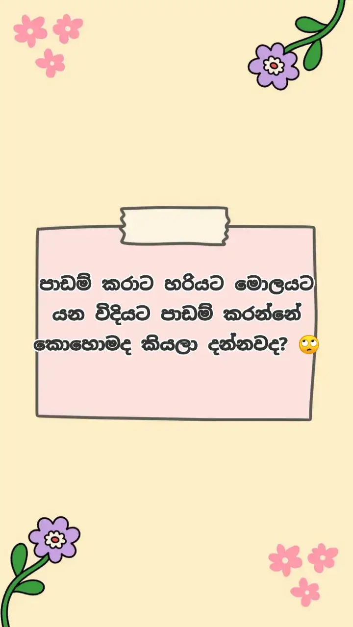 මේ කරුණු ටික ඔයාලට ගොඩක් වැදගත් වෙයි කියලා හිතෙනවා.. මේ ටික දැනගෙනම පාඩම් කරන්න ..💗🎀😍#aesthetic #Vlog #srilankan_tik_tok🇱🇰 #motivation #study #StudyTips 