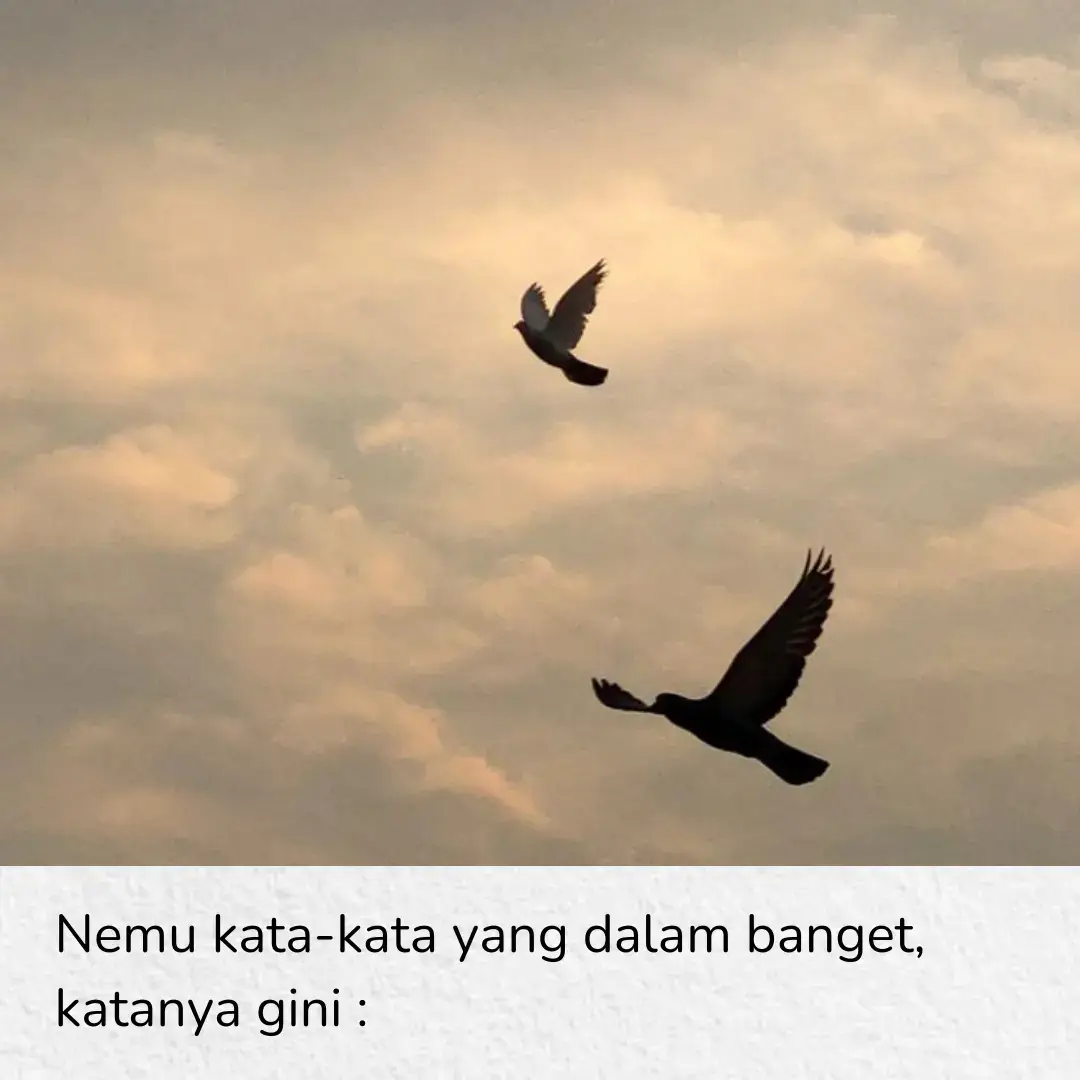#fyp #beranda #katakata #qoutes #kontenromantis 