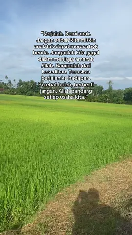 Teruskan kuat dan semangat 💪🏻✌🏻#sawahpadi #tiktokmalaysia #pageforyou #capcut 