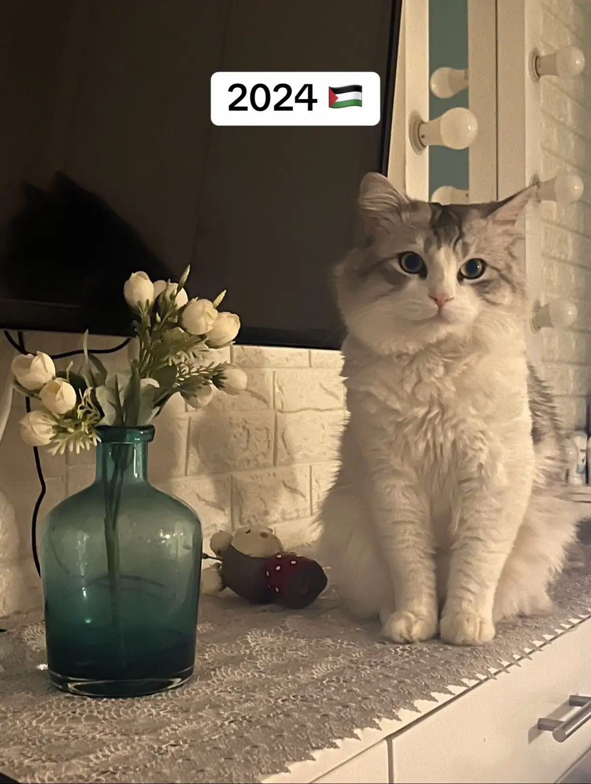 What’s happening in Palestine is not a “conflict.” It’s not a “war.” It’s genocide — A full-scale erasure of a people, their homes, their history, their hope. This is not about politics. This is about humanity being buried under rubble. This is about the world’s silence becoming a weapon. They’re not just killing bodies — they’re trying to kill truth. But no matter how loud their bombs are… the voice of Palestine will never be silenced. 🇵🇸 We will remember. We will speak. We will rise. #الشعب_الصيني_ماله_حل😂😂 