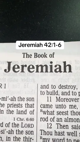#Jesus #ScriptureReading #Christ #Messiah #Gospel #Counselor #Worship #Joy #Grace #Mercy #Word #Truth #Bible #Scripture #ForYourPage #ForYou #FYP #Christian #Prayer #christiantiktok #Praise #Wisdom #Knowledge #Understanding #Faith #Love #Hope #God #Peace 