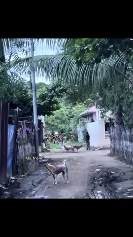 စိတ်မကောင်းပါဘူးကွာ။🫩🫵🏻#fyp #fypppppppp #tiktok #fyp #tiktok #fyp 
