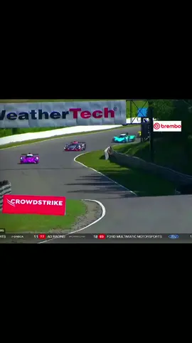 Rexy y spike demostrando quien manda #spike #rexy #imsa #racing #racingcar #track #Motorsport #carrera #carreras #race #car #motor #trackday #auto #lemans 